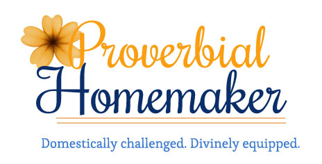 Proverbial_Homemaker